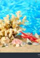 Coral Sea Shells Type your text to hear it in the voice of Coral Sea Shells.