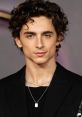 Timothée Chalamet Type your text and hear it in the voice of Timothée Chalamet.