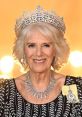 Camilla Type your text and hear it in the voice of Camilla.