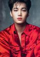 Kai Type your text and hear it in the voice of Kai.