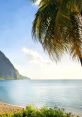 Saint Lucian (Saint Lucia) California, New York, St. Thomas Female 44yo Type your text to hear it in the Saint Lucian (Saint