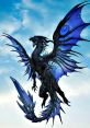 Drachen Drachen