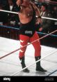Jerry Lawler Type your text to hear it in the voice of Jerry Lawler. Jerry Lawler, often known as "The King" in the sphere