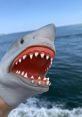 Shark Puppet Type your text to hear it in the voice of Shark Puppet. Shark Puppet is a unique character that has captured