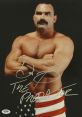 Don Frye "The Predator" Professional Wrestler & MMA, UFC - Hall of Fame. Type your text to hear it in the voice of Don