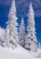 Snowy Instagram. Type your text to hear it in the voice of Snowy