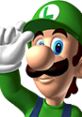 Luigi Sounds: Mario Kart DS