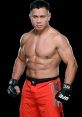Cung Le Type your text to hear it in the voice of Cung Le. The of Cung Le's powerful strikes reverberating through the