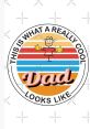 Somewhat Cool Dad Type your text to hear it in the voice of Somewhat Cool Dad. The Somewhat Cool Dad Computer AI emits a