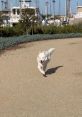 Fenix ‘Happy dog’ Lumiere Content Creator - Social Media Star. Type your text to hear it in the voice of Fenix ‘Happy dog’