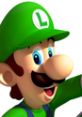 Luigi Sounds: Mario Kart Wii