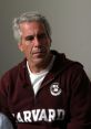 Jeff Epstein Type your text to hear it in the voice of Jeff Epstein. The soft hum of the Jeff Epstein Computer AI filled the