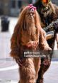 Bigfoot Bae Type your text to hear it in the voice of Bigfoot Bae. The emanating from Bigfoot Bae Computer AI are a