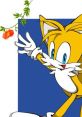Tails Japanese (テイルス) Type your text and hear it in the voice of Tails Japanese (テイルス).