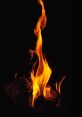 Fire Type your text to hear it in the voice of Fire. The crackling of burning logs echoed through the quiet room, the