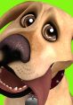 Doggy (Jon Causith) Type your text and hear it in the voice of Doggy (Jon Causith).