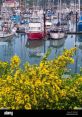 Harbor Type your text and hear it in the voice of Harbor .