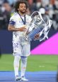 Marcelo Type your text and hear it in the voice of Marcelo .