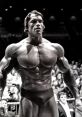 Arnold Type your text and hear it in the voice of Arnold .
