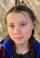 Greta Thunberg with braided hair, focused expression in a natural setting, promoting climate activism and awareness.