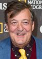 Stephen Fry Sir Stephen John Fry (born 24 August 1957) is an English actor, broadcaster, comedian, director, narrator and