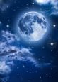 Luna Type your text and hear it in the voice of Luna .
