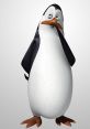Kowalski (Los Pinguinos De Madagascar) (Latino) Type your text and hear it in the voice of Kowalski (Los Pinguinos de