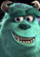 James P. Sullivan (John Goodman, Monsters, Inc.) James Patrick Sullivan (best known as Sulley) is the protagonist of the