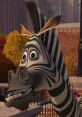 Marty (Phil Lamarr, Madagascar) Marty is the deuteragonist in the DreamWorks Madagascar franchise. He is a plains zebra that