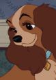 Lady (Barbara Luddy, Lady And The Tramp, First Film) Lady is the titular female protagonist of Disney's 1955 animated