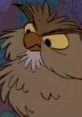 Archimedes (Junius Matthews, The Sword In The Stone) Archimedes is the tritagonist of Disney's 1963 animated feature film