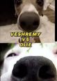 Veshremy