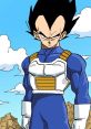 Vegeta stands confidently in his iconic blue and white armor against a clear sky, exuding power and determination.