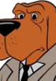 McGruff The Crime Dog Take a Bite out of Crime with a McGruff The Crime Dog voice.