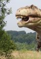 Extinct Title: Extinct Year: N/A Genre: Sci-Fi/Action Cast: - Rachel McAdams as Dr. Elizabeth Collins - Chris Evans as