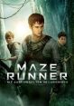 The Maze Runner (2014) "The Maze Runner" is a thrilling sci-fi film released in 2014, directed by Wes Ball. Based on James