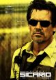 Sicario (2015) Sicario is a gripping thriller film released in 2015, directed by Denis Villeneuve. The movie revolves