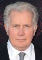 Martin Sheen Ramón Gerard Antonio Estévez (born August 3, 1940), known professionally as Martin Sheen, is an American actor.
