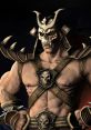 Mortal Kombat 2011 Announcer .
