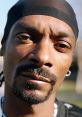 Snoop Dogg Realistic Rapping I'm a rock and rolls right out this is so cool because this is so good like they're so good