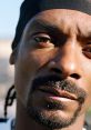 Snoop Dogg Realistic Rap I'm a rock and rolls right out this is so cool because this is so good like they're so good like