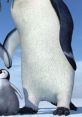 Memphis (Padre De Mumble) (Happy Feet) (Español Latino) Type your text and hear it in the voice of Memphis (Padre de Mumble)