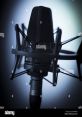 Experienced Voiceover Maestro with an Extensive Vocal Range, Amiable Disposition, and Rapid Delivery! Jenn Aspires to Be