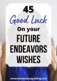 My Objective Is to Ensure Your Endeavor Achieves Triumphant Greatness Type your text to hear it in the My Objective Is to