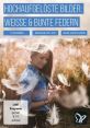 Mit Meinem Timbre Verleihe Ich Deinen Projekten Lebenskraft Und Schenke Ihnen Das Gewisse Etwas Type your text to hear it in