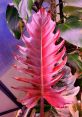 Tonally Variegated Type your text to hear it in the Tonally Variegated . Tonally variegated. English - USA, English -