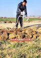 Multifaceted Vocal Talent Uniting Individuals | Brazilian Portuguese | Swift Delivery | the Authentic Bunny |