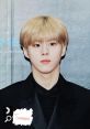 A Sonorous and Assured Voice with a Vast Gamut Type your text to hear it in the A Sonorous and Assured Voice with a Vast