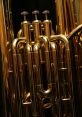 A Mellow Baritone Voice That Articulates Both Standard High German and Authentic Swiss German ("züritüütsch") with Aplomb