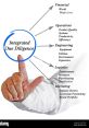 Diligence, Swiftness, and Oomph Type your text to hear it in the Diligence, Swiftness, and Oomph . Diligence, swiftness, and